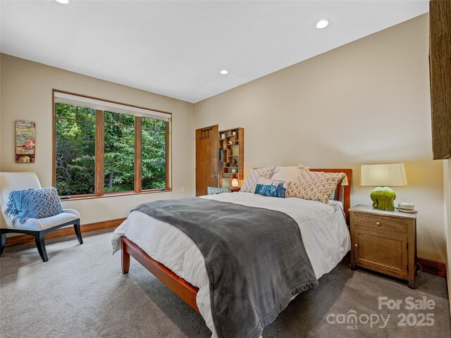 3 Turkey Roost Ct, Fairview, NC 28730 - photo 31