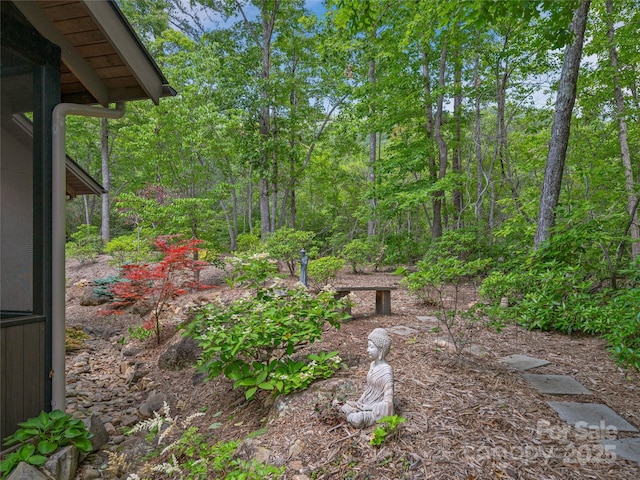 3 Turkey Roost Ct, Fairview, NC 28730 - photo 38