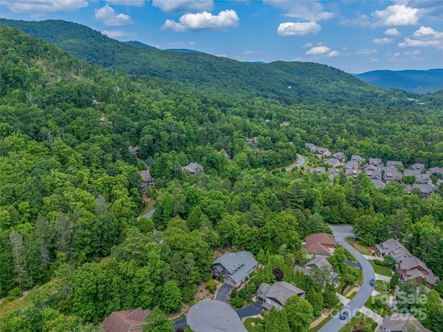 3 Turkey Roost Ct, Fairview, NC 28730 - photo 40