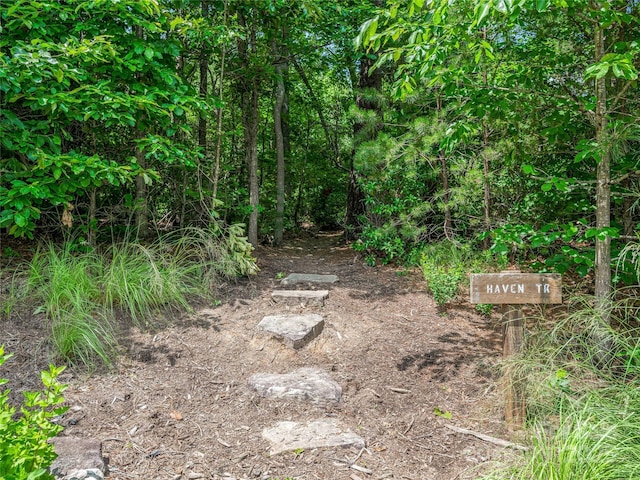 3 Turkey Roost Ct, Fairview, NC 28730 - photo 41