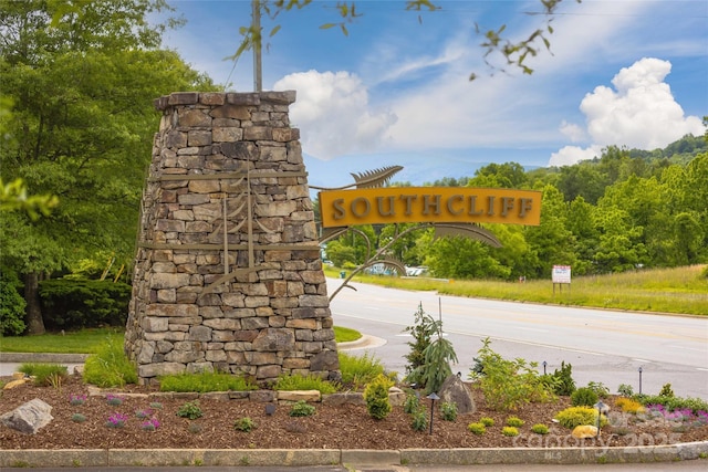 3 Turkey Roost Ct, Fairview, NC 28730 - photo 44