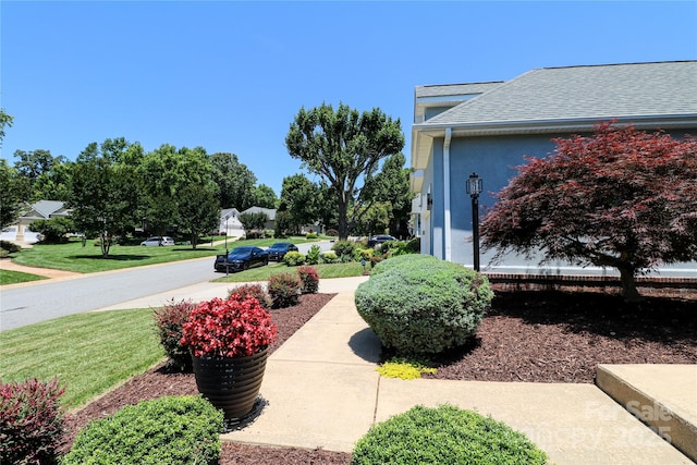406 Spyglass Hill Pl, Salisbury, NC 28144 - view of green lawn