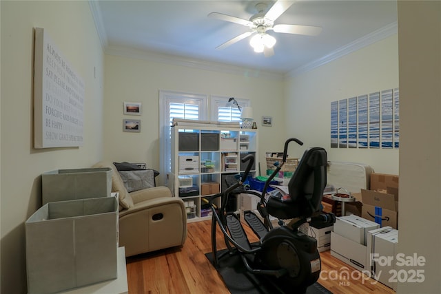 406 Spyglass Hill Pl, Salisbury, NC 28144 - office area with ceiling fan, ornamental molding, and wood finished floors