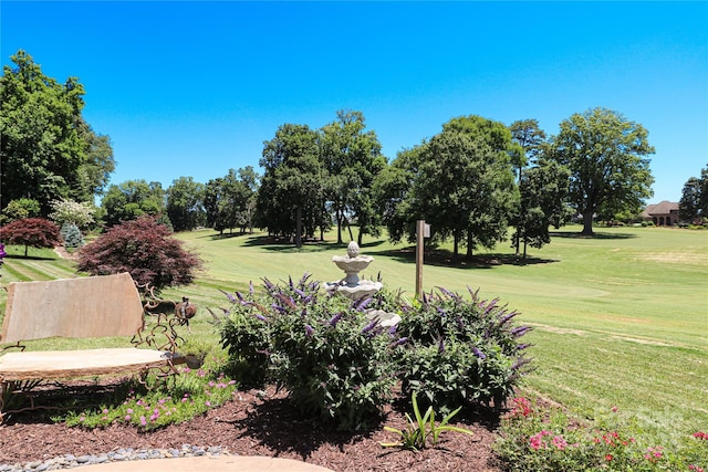 406 Spyglass Hill Pl, Salisbury, NC 28144 - surrounding community with a lawn