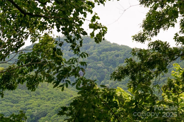 380 Allison Dr, Maggie Valley, NC 28751 - view of mountain backdrop featuring a heavily wooded area