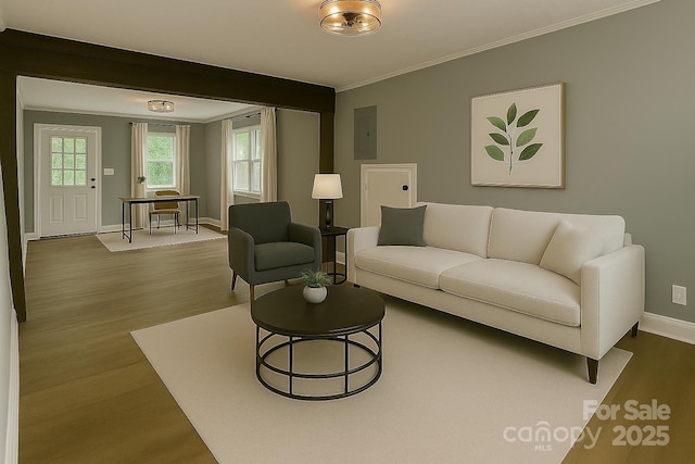 201 Barnes Ln, Stony Point, NC 28678 - living area with wood finished floors, ornamental molding, and electric panel
