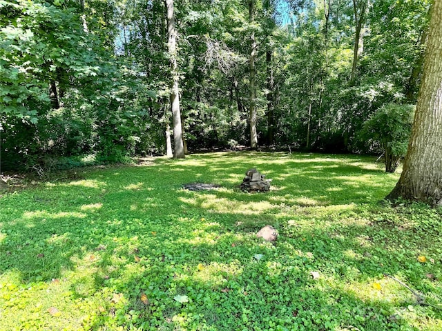 201 Barnes Ln, Stony Point, NC 28678 - view of green lawn