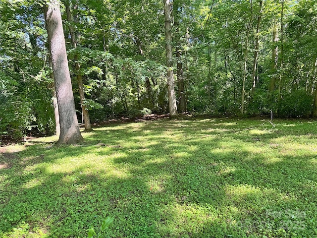 201 Barnes Ln, Stony Point, NC 28678 - view of green lawn with a forest view
