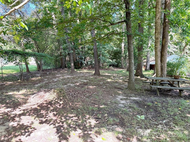 201 Barnes Ln, Stony Point, NC 28678 - view of yard