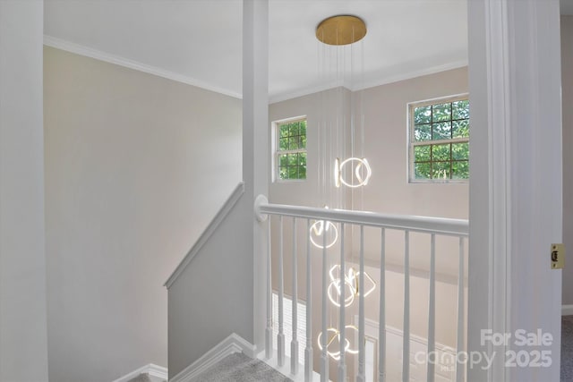 8343 Highlander Ct, Charlotte, NC 28269 - photo 18