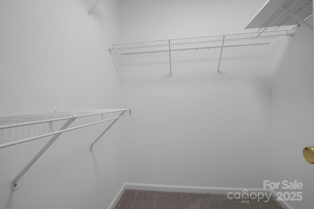 8343 Highlander Ct, Charlotte, NC 28269 - photo 26