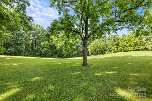 2028 Old Latter Rd, Newton, NC 28658 - view of green lawn with golf course view and view of scattered trees