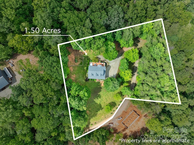 154 Burley Rdg, Candler, NC 28715 - photo 41
