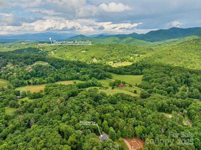 154 Burley Rdg, Candler, NC 28715 - photo 42