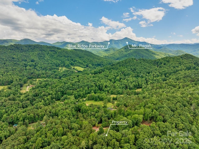 154 Burley Rdg, Candler, NC 28715 - photo 43