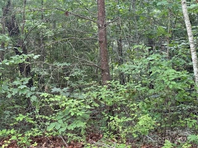 68 Cottage Settings Ln Unit 290, Black Mountain, NC 28711 - photo 3