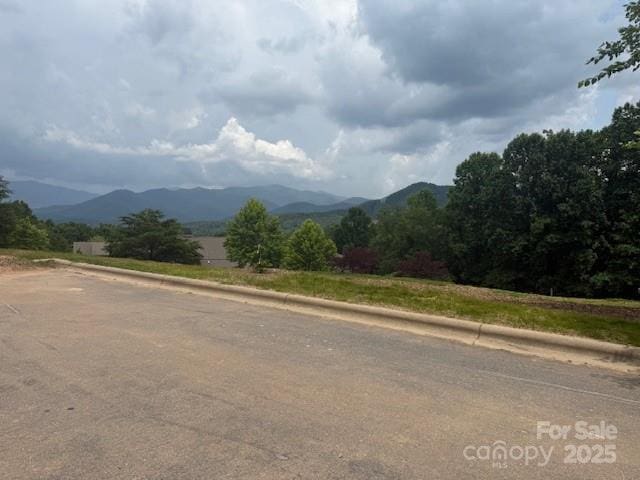 68 Cottage Settings Ln Unit 290, Black Mountain, NC 28711 - photo 4