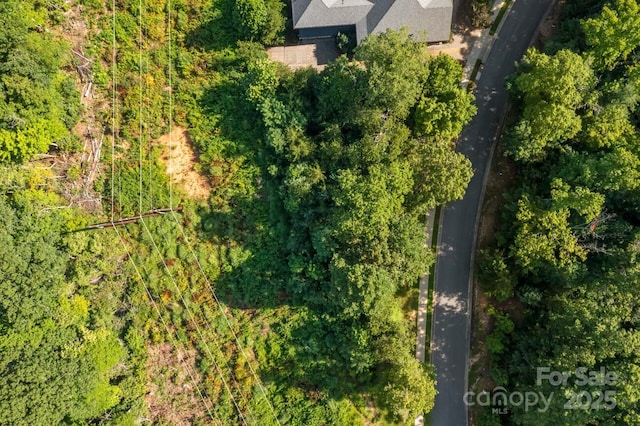 68 Cottage Settings Ln Unit 290, Black Mountain, NC 28711 - photo 7