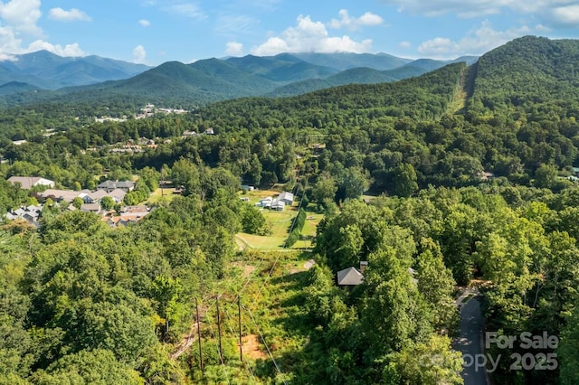 68 Cottage Settings Ln Unit 290, Black Mountain, NC 28711 - photo 10
