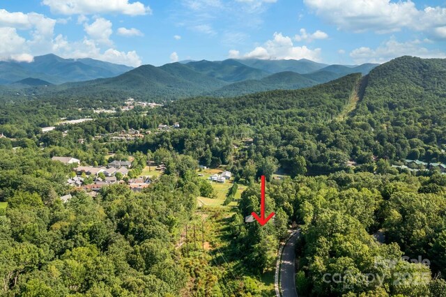 68 Cottage Settings Ln Unit 290, Black Mountain, NC 28711 - photo 11
