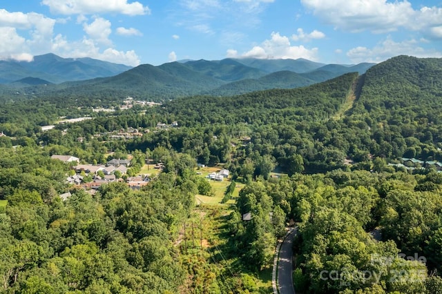 68 Cottage Settings Ln Unit 290, Black Mountain, NC 28711 - photo 12