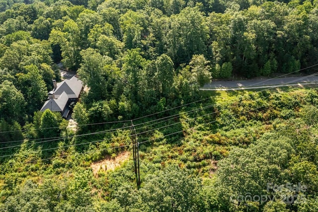 68 Cottage Settings Ln Unit 290, Black Mountain, NC 28711 - photo 13