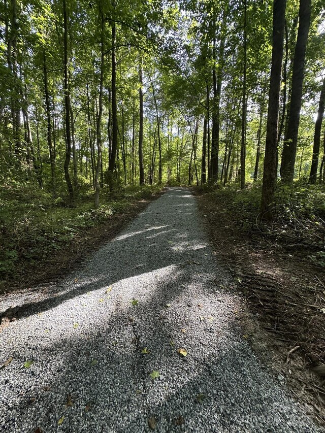 18038 Greyfield Gln, Fort Mill, SC 29707 - photo 34