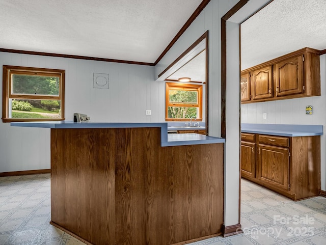 1111 Bills Creek Rd, Lake Lure, NC 28746 - kitchen with plenty of natural light, a textured ceiling, brown cabinets, ornamental molding, and light floors