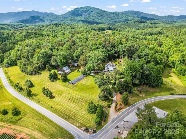 1111 Bills Creek Rd, Lake Lure, NC 28746 - bird's eye view of a forest and mountains