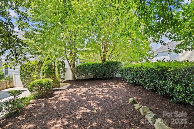 3535 Selwyn Farms Ln, Charlotte, NC 28209 - view of yard