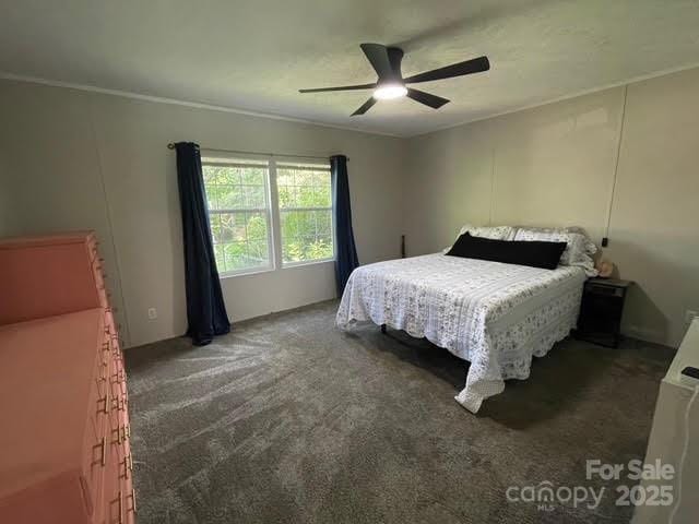 25 Mountain View Rdg, Fairview, NC 28730 - bedroom with carpet floors and ceiling fan