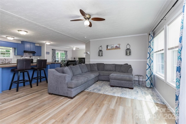 25 Mountain View Rdg, Fairview, NC 28730 - living area with a ceiling fan, light wood-style floors, and crown molding