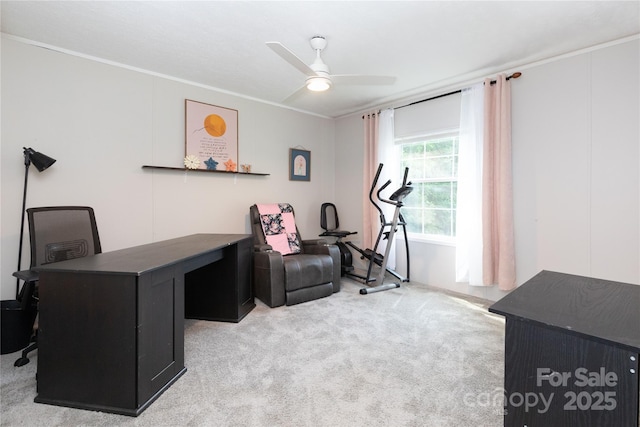 25 Mountain View Rdg, Fairview, NC 28730 - office space featuring crown molding, ceiling fan, and carpet