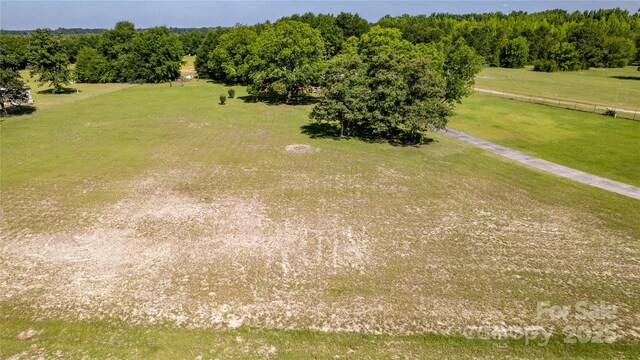 1444 Society Hill Rd, Darlington, SC 29540 - photo 13