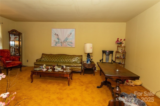 1444 Society Hill Rd, Darlington, SC 29540 - photo 28