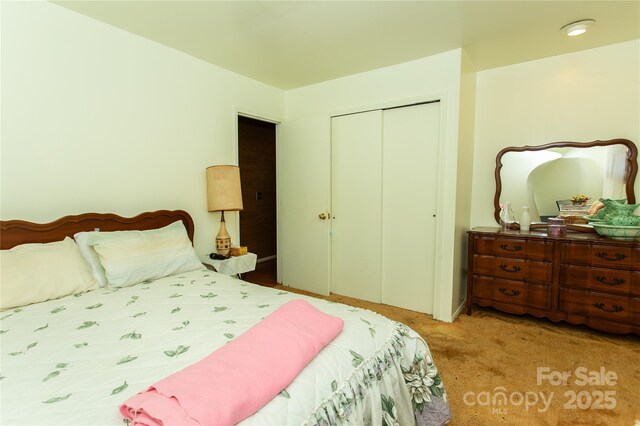 1444 Society Hill Rd, Darlington, SC 29540 - photo 33