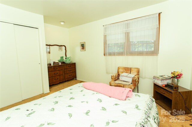 1444 Society Hill Rd, Darlington, SC 29540 - photo 37