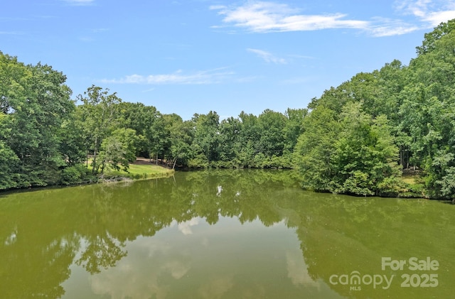640 Lochaven Rd, Weddington, NC 28173 - photo 28