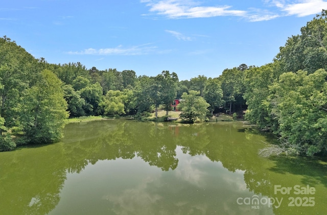 640 Lochaven Rd, Weddington, NC 28173 - photo 29