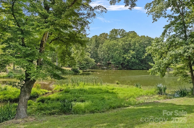 640 Lochaven Rd, Weddington, NC 28173 - photo 31