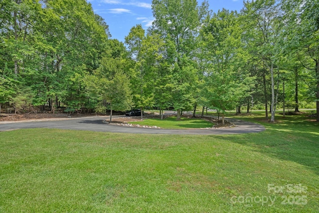 640 Lochaven Rd, Weddington, NC 28173 - photo 39
