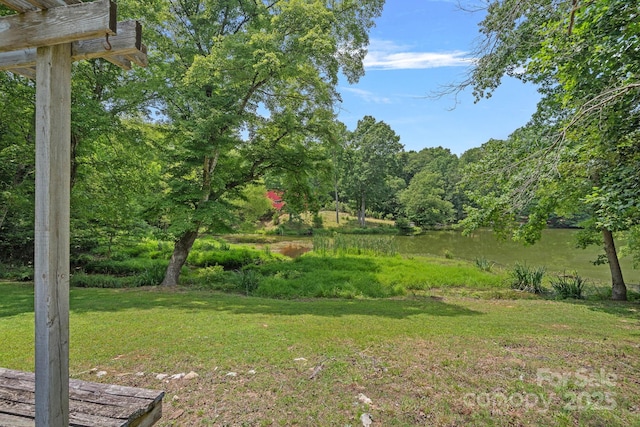640 Lochaven Rd, Weddington, NC 28173 - photo 33
