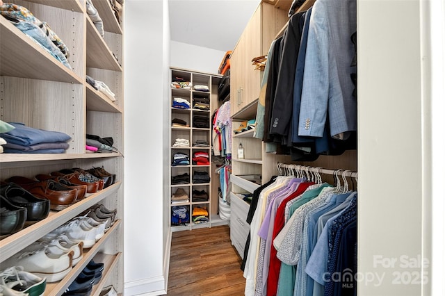 3981 Spinnaker Pl, Denver, NC 28037 - walk in closet with wood finished floors