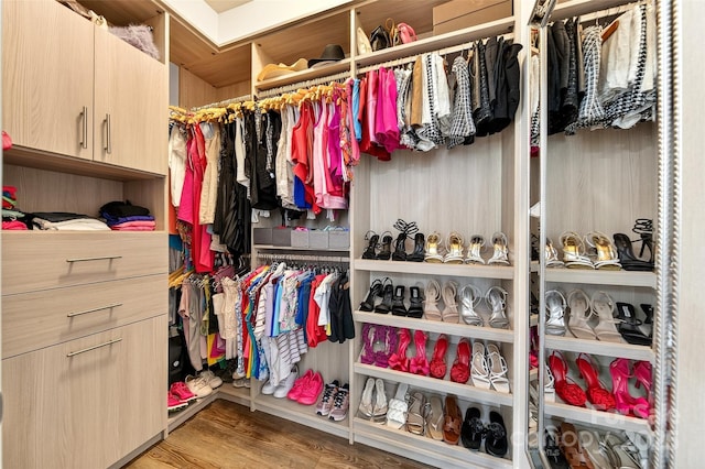 3981 Spinnaker Pl, Denver, NC 28037 - walk in closet featuring wood finished floors