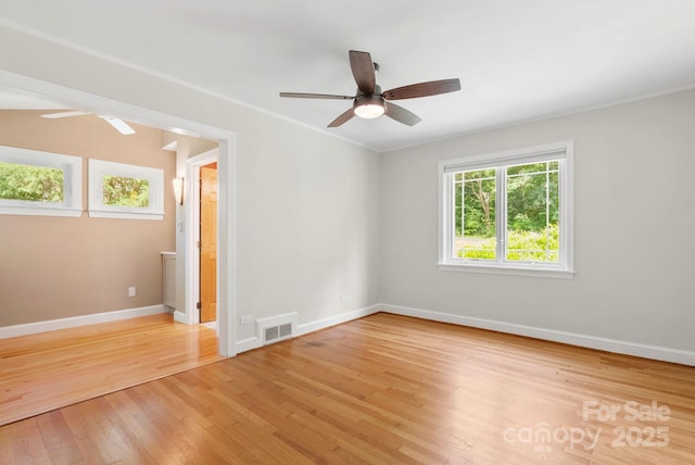 115 Aurora Dr, Asheville, NC 28805 - photo 11