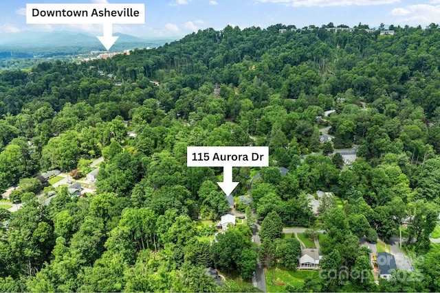 115 Aurora Dr, Asheville, NC 28805 - photo 33