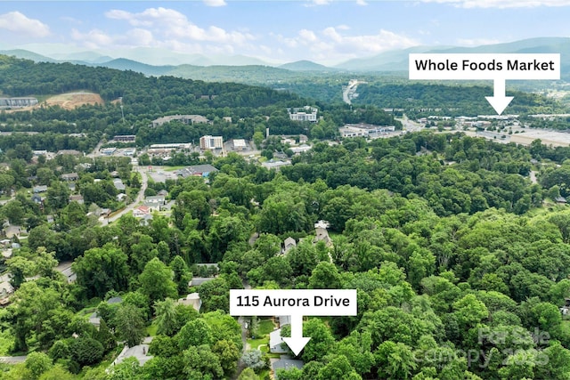 115 Aurora Dr, Asheville, NC 28805 - photo 34
