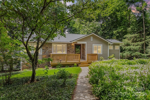 115 Aurora Dr, Asheville, NC 28805 - photo 37