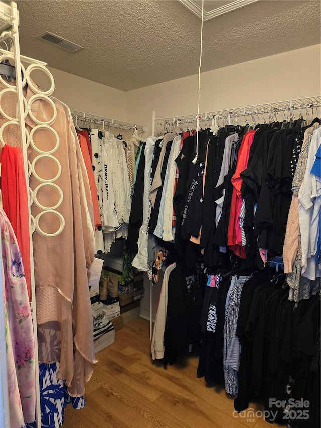 3 Hidden Sands Ct, Columbia, SC 29229 - spacious closet with wood finished floors