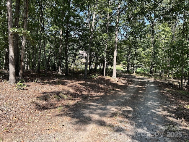 207 Wagon Ln, Rutherfordton, NC 28139 - view of road